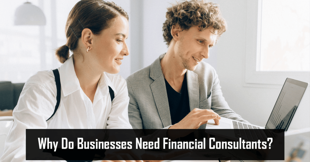 Why Do Businesses Need Financial Consultants? HRMB Accociates LLC