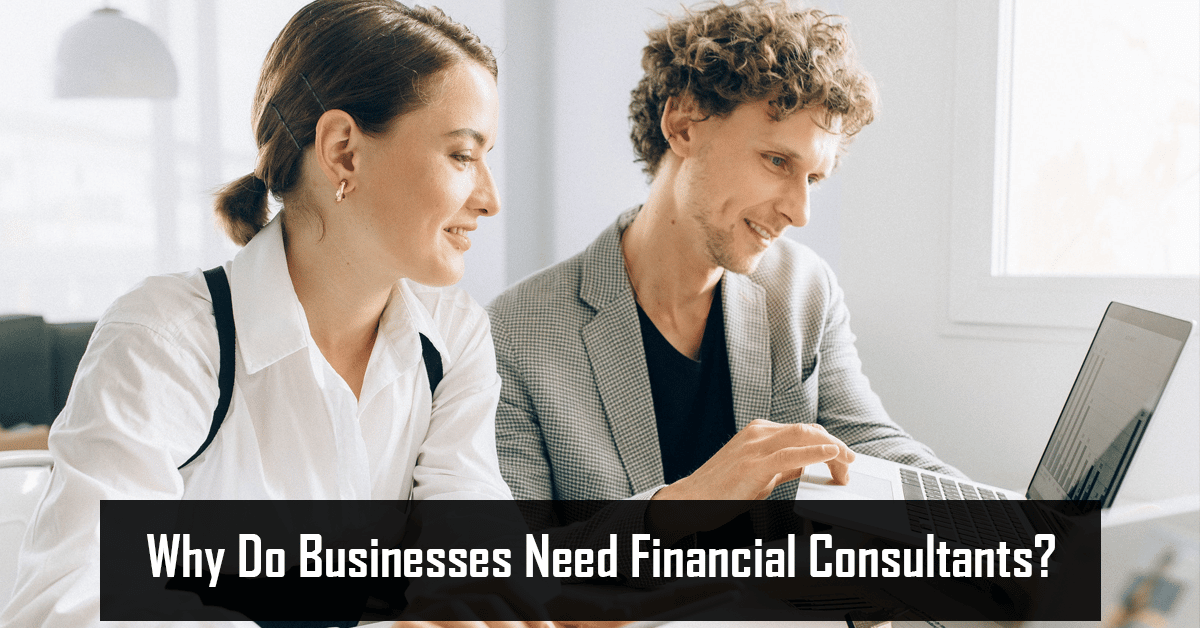 Why Do Businesses Need Financial Consultants?
